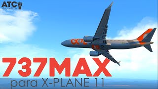 737 MAX  Textura da Gol  Terrain Radar  Avitab  XPlane 11 [upl. by Draw583]