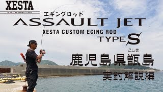 XESTATV エギングロッドアサルトジェットtypeS 実釣解説 [upl. by Haldis]