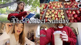 SUNDAY RESET VLOG ★ grocery shopping errands etc [upl. by Gibson85]