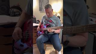 Éric featuring new order thieves like us bass cover [upl. by Lebanna]