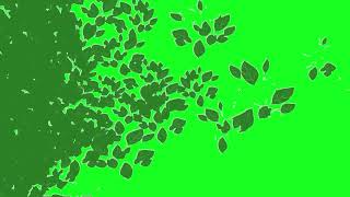 Free Green Screen Video Transition with black color no sound [upl. by Curt]