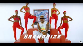 Harmonize fT Rayvanny  Paranawe Official Video 2019 [upl. by Vaenfila]