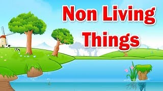 6 Differences between Living and Non living things for Kids shorts livingthings nonlivingthings [upl. by Shoshanna239]