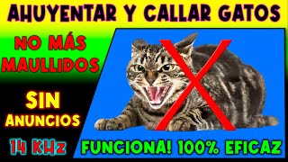 SONIDO PARA AHUYENTAR Y CALLAR GATOS 🚫🐈 REPELENTE DE GATOS [upl. by Eusebio]