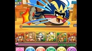 パズドラ【アングリーバードコラボ・黄金級】朱雀・レイランPT ノーコン！攻略 [upl. by Adelice]