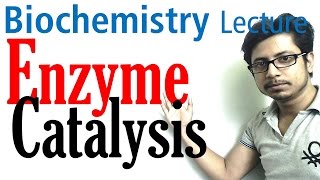 Enzyme catalysis mechanism biochemistry [upl. by Dela]