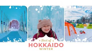 Best Things to Do in Hokkaido in Winter [upl. by Rebeca]