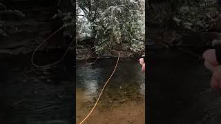 St vrain River Lyons Colorado fishingvideos [upl. by Notnek]