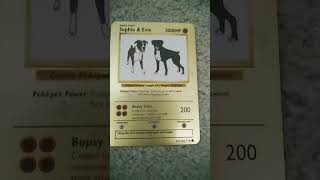 I have 2 custom made pokemon cards pokemonswordandshield [upl. by Kermy]