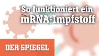 Corona Wie funktioniert ein mRNAImpfstoff  DER SPIEGEL [upl. by Claire]