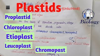 Plastids structure and function  Chloroplast Chromoplast Leucoplast class 11class 9 [upl. by Orips712]