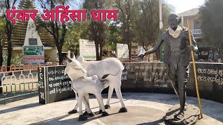 अहिंसाधाम Ahinsadham Pragpar Mundra Animal Welfare Organisations in Kutch [upl. by Eidnac]