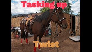 Tacking up Twist [upl. by Enilaf295]