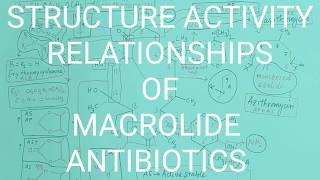 MACROLIDE ANTIBIOTICS Part 4 STRUCTURE ACTIVITY RELATIONSHIPS [upl. by Kila]