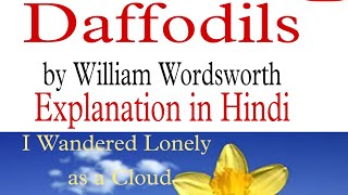 Daffodils by William Wordsworth  Explanation in Hindi [upl. by Hgielar]