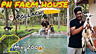 PN FARM HOUSE Pollachi Afzal’s Journey vlog 57 [upl. by Amsaj19]