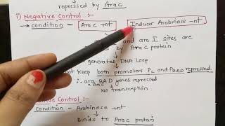 Arabinose Operon Part 3 Dr Preeti Dharmik [upl. by Ttnerb152]