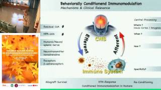 How learning is shaping immunity  Manfred Schedlowski University of DuisburgEssen [upl. by Clovah]