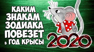 КАКИМ ЗНАКАМ ЗОДИАКА ПОВЕЗЕТ В 2020 ГОДУ ГОРОСКОП УДАЧИ НА ГОД КРЫСЫ [upl. by Darill]