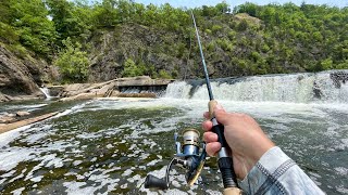 This River Dam is LOADED with Fish [upl. by Enilehcim]