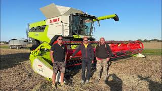 CLAAS In Campo 2022  LEXION 7700 TERRA TRAC [upl. by Iclehc]