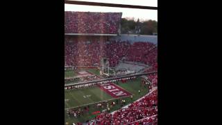 Wisconsin Badgers coming out of the tunnel [upl. by Vahe]