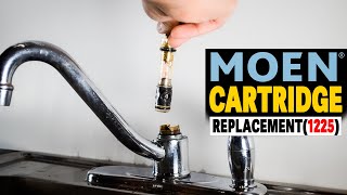 How To Replace MOEN Faucet CARTRIDGE 1225  The Building Expert 2023 [upl. by Lupee]