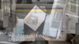 Formulación y Evaluación de ProyectosEstudio Organizacional2 [upl. by Annola]