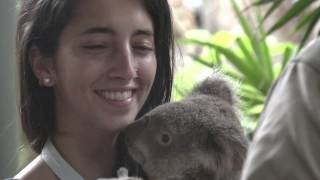 What It Feels Like To Hug a Koala [upl. by Ahsayn]