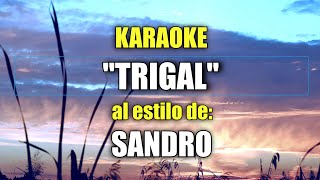 VLG Karaoke SANDRO  TRIGAL Mejor versión [upl. by Taylor]