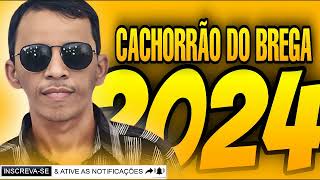 CACHORRÃO DO BREGA AO VIVO 2024 [upl. by Neyud]