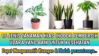 15 JENIS TANAMAN HIAS INDOOR PEMBERSIH UDARA YANG BAIK UNTUK KESEHATAN LINK PRODUK ADA DI DESKRIPSI [upl. by Nnylsoj430]