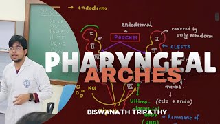 PHARYNGEAL ARCHES  EMBRYOLOGY  MBBS ANATOMY  Biswanath Tripathy [upl. by Arved]