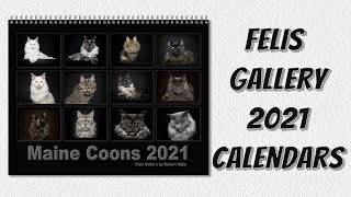 Maine Coon cats 2021 Calendars [upl. by Notsnhoj848]