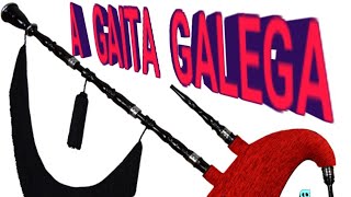 A GAITA GALEGA [upl. by Renrag]