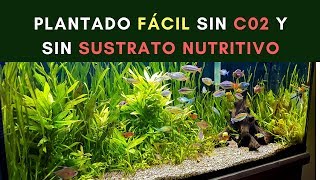 PLANTADO FÁCIL SIN CO2 NI SUSTRATO NUTRITIVO [upl. by Akemet]