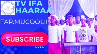 Tv Ifa Haaraa  FarMucoolii  Ethiopian Protestant Church [upl. by Buckingham]