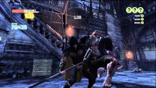 Batman Arkham City  Ruthless Vengeance Campaign as Robin [upl. by Enelam431]