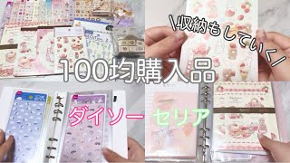 【購入品紹介・収納】100均購入品紹介と収納！｜ダイソー｜セリア [upl. by Eddina820]