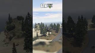 GTA V Buzzard cheat [upl. by Akirdnwahs]