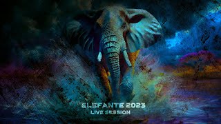 ELEFANTE 2023 Live Session Show completo [upl. by Clymer]