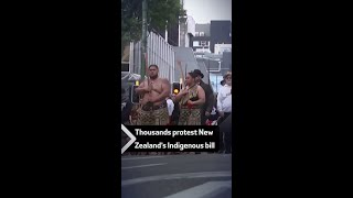 Thousands protest New Zealand’s Indigenous bill [upl. by Zsuedat]