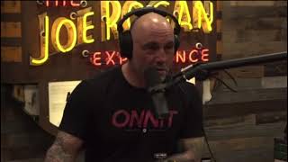 Joe Rogan Talks With Action Bronson About Stem Cells amp BioXcellerator [upl. by Thora]