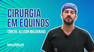 Fios cirúrgicos em Equinos com Dr Allison Maldonado [upl. by Aronaele]