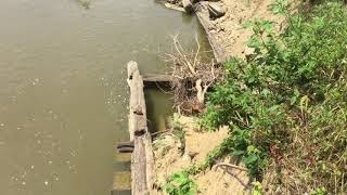 Wabash and Erie Canal in Greene County Indiana Part One [upl. by Knutson344]