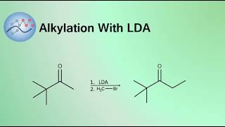 Alkylation With LDA Mechanism  Organic Chemistry [upl. by Sillsby849]