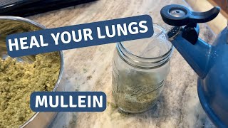 Boost Your Lung Health Naturally A StepbyStep Guide to Making Mullein Tea [upl. by Nevarc]