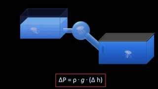 Hydrostatic Pressure Fluid Mechanics  Lesson 3 [upl. by Derag]