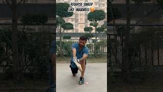 How to play Reverse sweep shot 🏏  Shot  Technic skills cricket batting yt knowledge [upl. by Seavey]