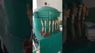 Perilla seed oil pressing production line oilpressmachine oilmakermachine coldpressoilmachine [upl. by Bartley]